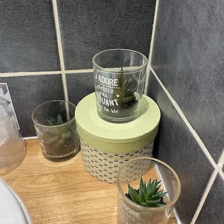 Le Logis Katia 3* Saumur